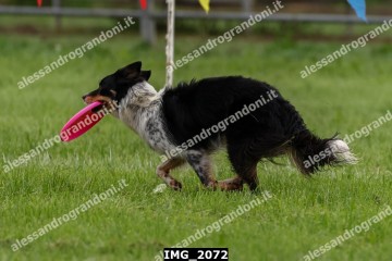 IMG_2072.jpg