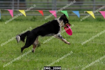IMG_2090.jpg
