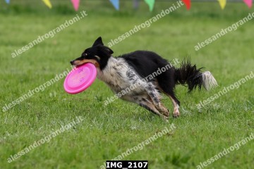 IMG_2107.jpg