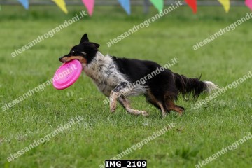 IMG_2109.jpg