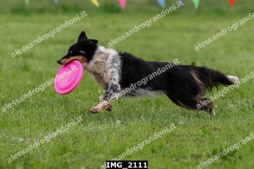 IMG_2111.jpg