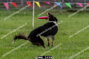IMG_2133.jpg