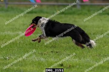 IMG_2151.jpg