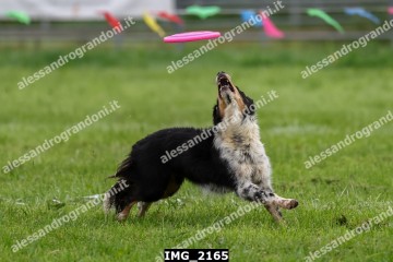 IMG_2165.jpg