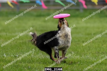 IMG_2168.jpg