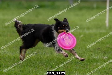 IMG_2175.jpg