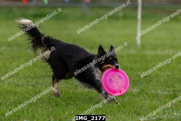 IMG_2177.jpg