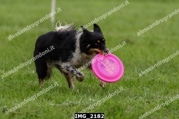 IMG_2182.jpg