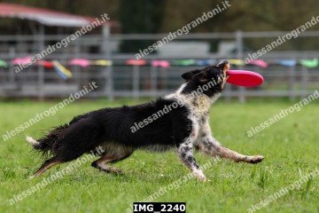 IMG_2240.jpg