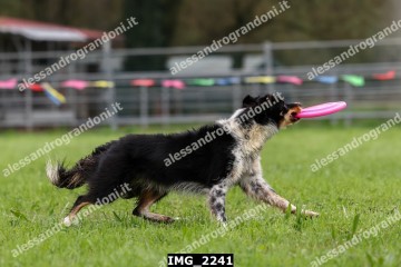 IMG_2241.jpg