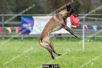 IMG_2267.jpg