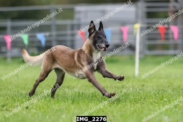 IMG_2276.jpg