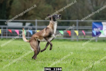 IMG_2288.jpg