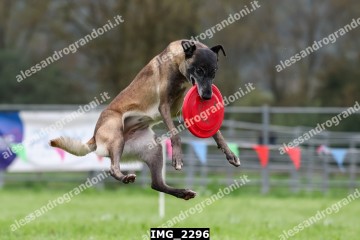 IMG_2296.jpg