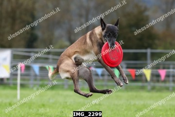 IMG_2299.jpg
