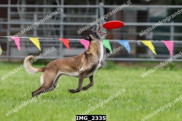 IMG_2335.jpg