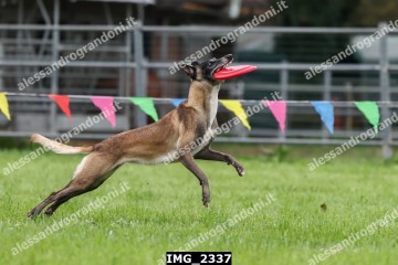 IMG_2337.jpg