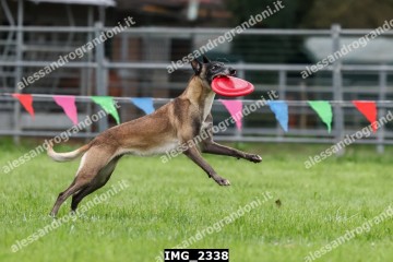 IMG_2338.jpg