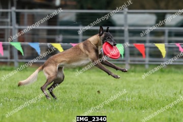 IMG_2340.jpg
