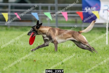 IMG_2357.jpg