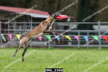 IMG_2366.jpg