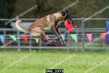 IMG_2373.jpg