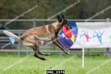 IMG_2376.jpg
