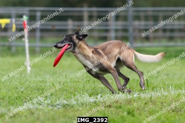 IMG_2392.jpg