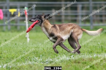IMG_2394.jpg