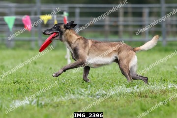 IMG_2396.jpg