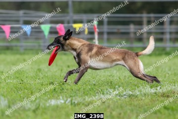 IMG_2398.jpg