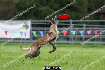 IMG_2415.jpg