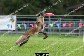 IMG_2416.jpg