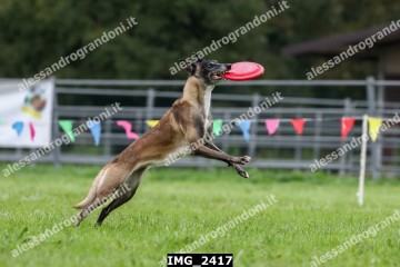 IMG_2417.jpg
