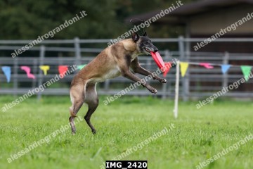 IMG_2420.jpg