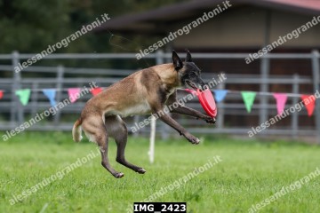 IMG_2423.jpg
