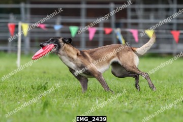 IMG_2439.jpg