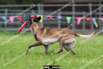 IMG_2443.jpg