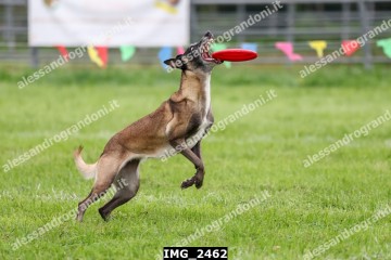 IMG_2462.jpg