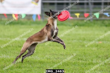 IMG_2463.jpg