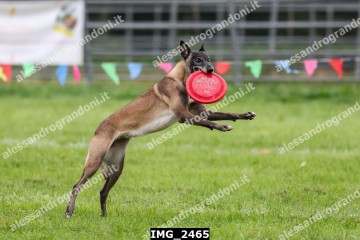 IMG_2465.jpg