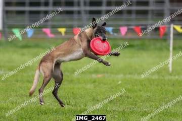 IMG_2467.jpg