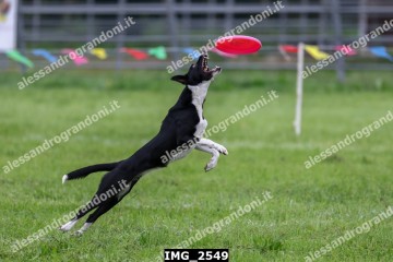 IMG_2549.jpg