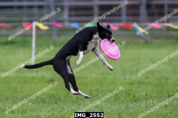 IMG_2552.jpg