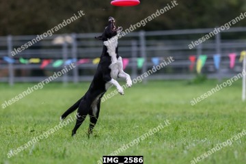 IMG_2586.jpg