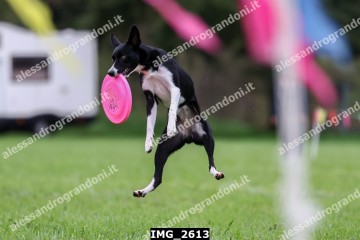 IMG_2613.jpg