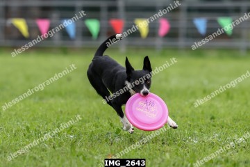 IMG_2643.jpg