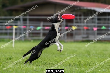 IMG_2673.jpg