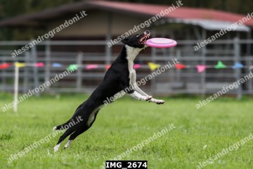 IMG_2674.jpg
