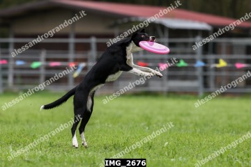 IMG_2676.jpg